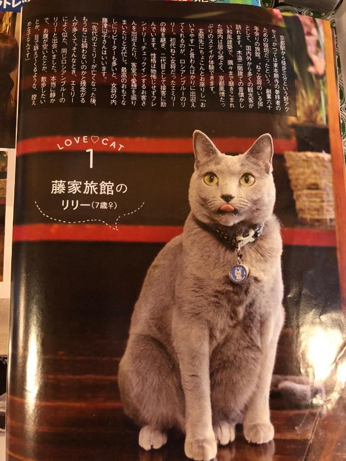 Fujiya 傳統日式旅館 3*